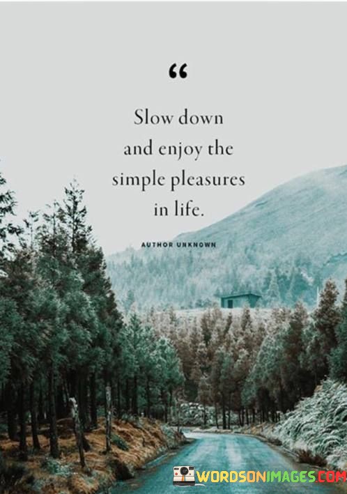 Slow-Down-And-Enjoy-The-Simple-Pleasures-In-Life-Quotes.jpeg
