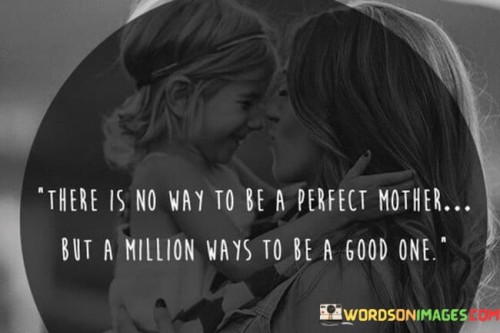 There Is No Way To Be A Perfect Mother Quotes