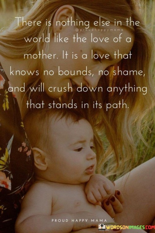 There Is Nothing Else In The World Like The Love Of A Mother Quotes