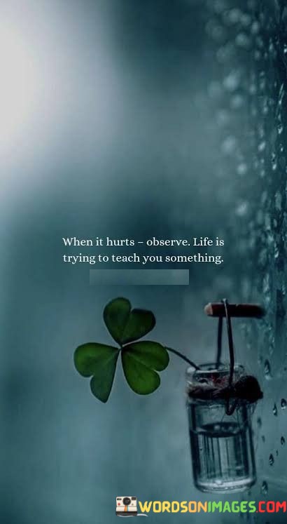 When-It-Hurts-Observe-Life-Is-Trying-To-Teach-You-Quotes.jpeg