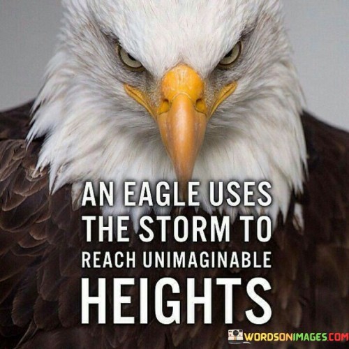 An-Eagle-Uses-The-Storm-To-Reach-Unimaginable-Heights-Quotes.jpeg