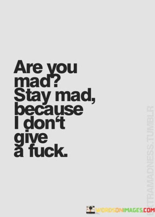 Are You Mad Stay Mad Because I Don't Quotes