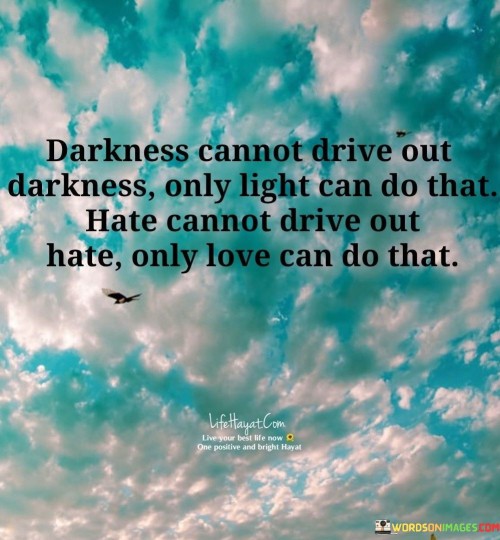 Darkness Cannot Drive Out Darkness Only Light Can Do That Quotes
