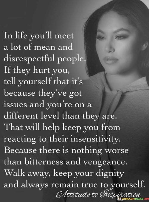 In-Life-Youll-Meet-A-Lot-Of-Mean-And-Disrespectful-Quotes.jpeg