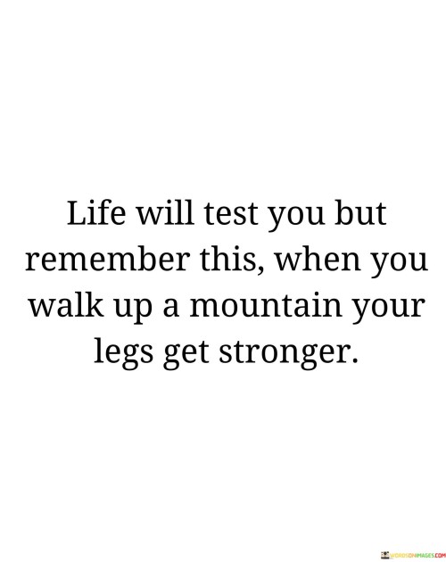 Life-Will-Test-You-But-Remember-This-When-You-Walk-Up-A-Mountain-Quotes.jpeg