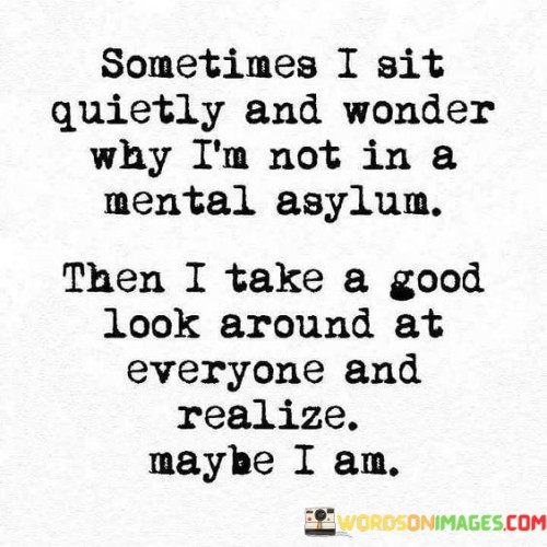 Some Time I Sit Quietly And Wonder Why I'm Not In A Mental Asylum Quotes
