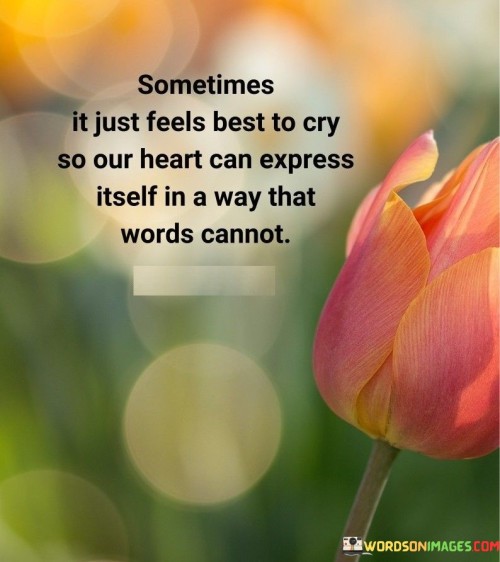 Sometimes-It-Just-Feels-Best-To-Cry-So-Our-Heart-Can-Express-Quotes