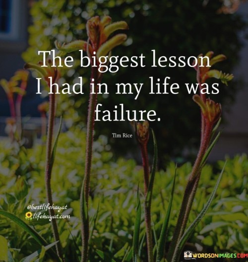 The-Biggest-Lesson-I-Had-In-My-Life-Was-Failure-Quotes.jpeg