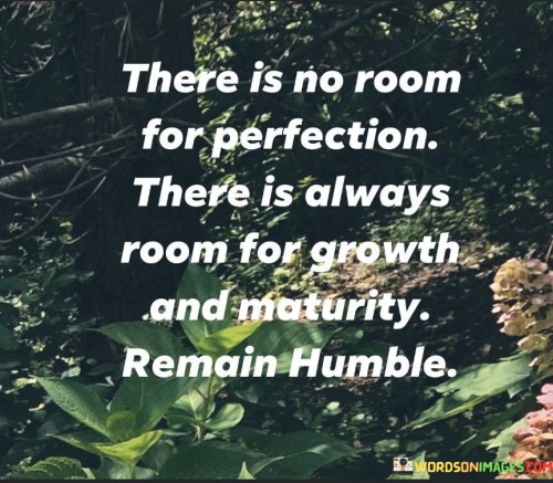 There Is No Room For Perfection There Is Always Room For Growth Quotes
