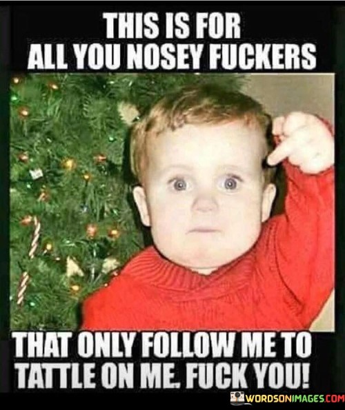 This Is For All You Nosey Fuckers That Only Follow Me Quotes