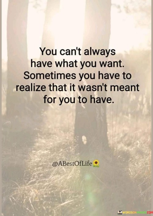 The quote "You can't always have what you want; sometimes you have to realize that it wasn't meant for you to have" acknowledges life's limitations and the concept of acceptance. It suggests that desires might remain unfulfilled due to various factors. Accepting this reality fosters resilience and a healthier perspective.

The quote underscores the significance of adaptability. Not all aspirations align with life's circumstances. Acknowledging this can lead to personal growth, enabling individuals to redirect energy and focus toward pursuits that are more aligned with their path and values.

Ultimately, the quote promotes emotional maturity. It encourages individuals to let go of attachments to unattainable desires, embracing the wisdom of accepting what is meant for them. This mindset cultivates contentment and the ability to find fulfillment in unexpected avenues, leading to a more balanced and fulfilling life journey.