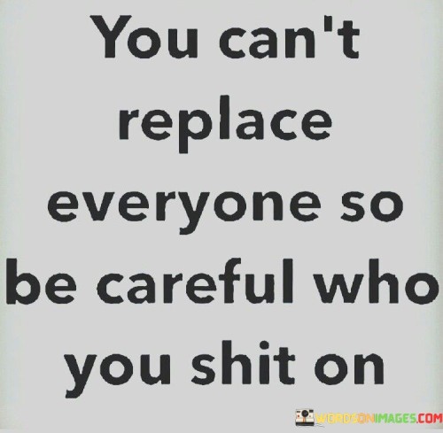 You Can't Replace Everyones So Be Careful Quotes