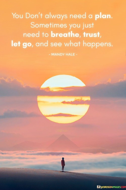 You-Dont-Always-Need-A-Plan-Sometimes-Quotes5e5663c4c7b4bb25.jpeg