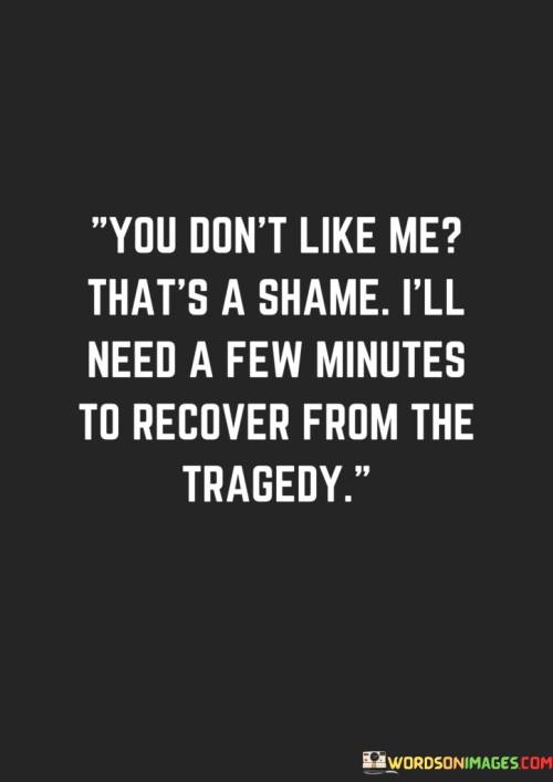 You Don't Like Me That's A Shame I'll Need A Minutes Quotes