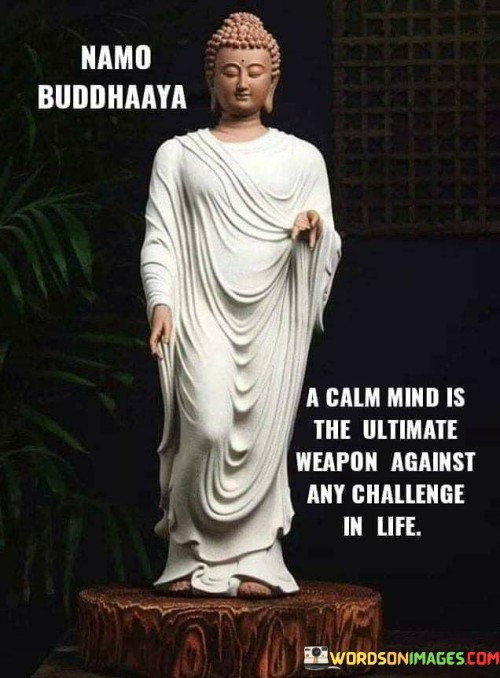 A-Calm-Mind-Is-The-Ultimate-Weapon-Against-Any-Challenge-In-Life-Quotes.jpeg