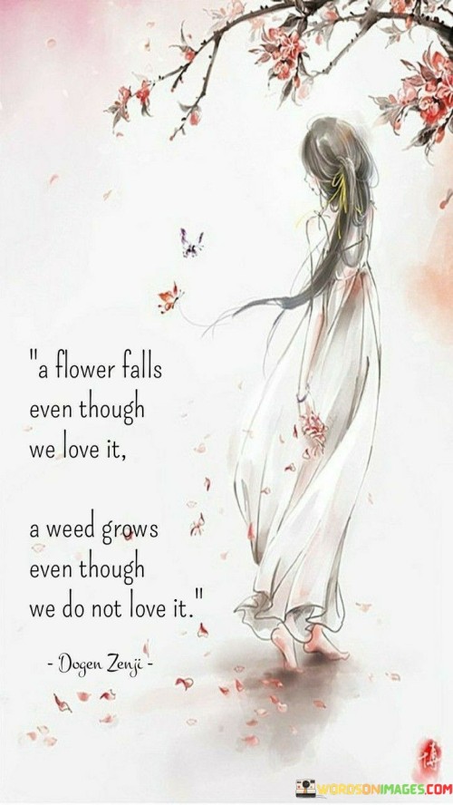 A Flower Falls Even Though We Love It A Weed Quotes