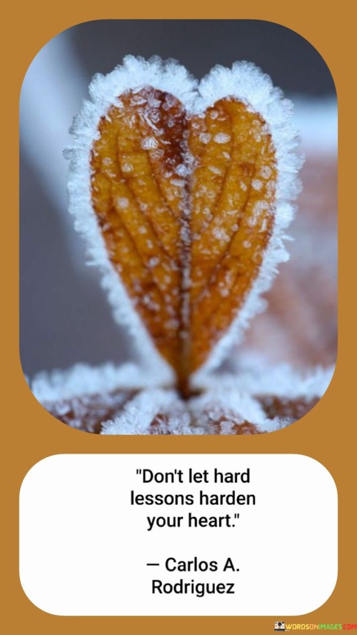 Don't Let Hard Lessons Harden Your Heart Quotes