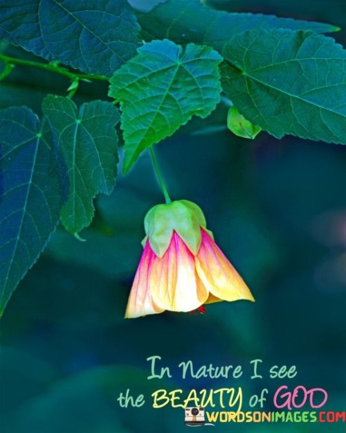 This quote reflects the idea that the beauty of nature serves as a manifestation of the divine or God's creative presence. It suggests that by observing and appreciating the natural world, individuals can connect with and witness the beauty and majesty of God.

In essence, it encourages individuals to find spiritual inspiration and a sense of wonder in the natural world, recognizing it as a reflection of God's artistry and presence.

Ultimately, this quote serves as a reminder of the potential for spiritual connection and awe in the presence of nature, highlighting the belief that the beauty of the natural world can serve as a pathway to experiencing the divine.