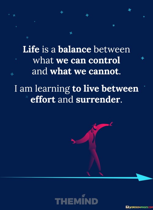Life-Is-A-Balance-Between-What-We-Can-Control-And-What-Quotes.jpeg