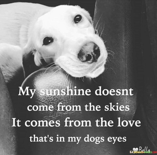 My-Sunshine-Doesnt-Come-From-The-Skies-Quotes.jpeg