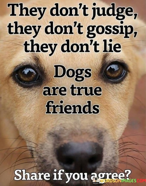 They-Dont-Judge-They-Dont-Gossip-They-Dont-Lie-Quotes.jpeg