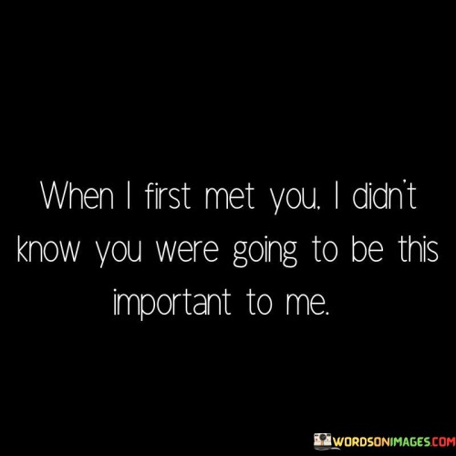 When I First Met You I Didn't Know Quotes