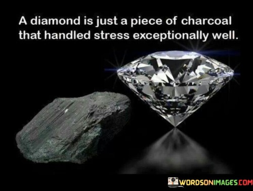A Diamond Is Just Piece Of Charcoal That Handled Stress Exceptionally Quotes
