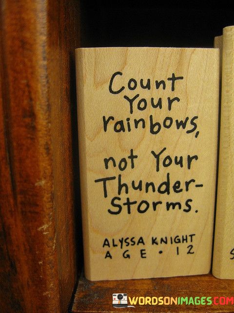 Count-Your-Rainbows-Not-Your-Thunder-Storms-Quotes.jpeg