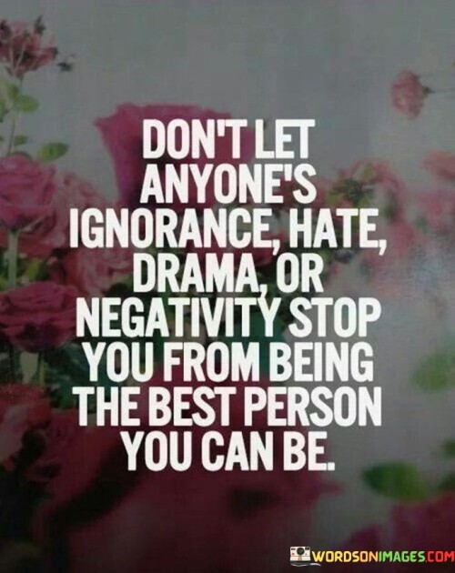 Don't Let Anyone's Ignorance Hate Drama Or Negativity Stop Quotes