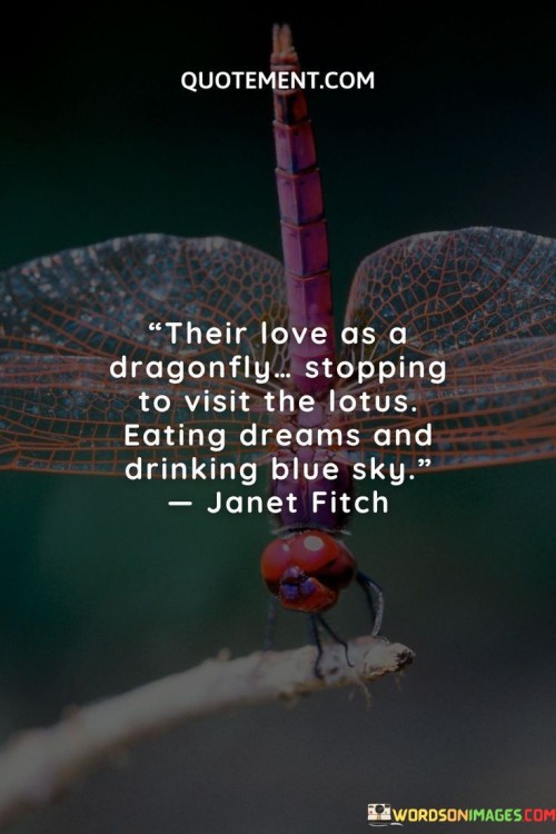 Their-Love-As-A-Dragonfly-Stopping-To-Visit-The-Lotus-Quotes.jpeg
