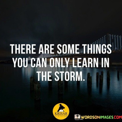 The quote suggests that certain life lessons are only acquired through challenging and adverse situations. It implies that storms, metaphorically representing difficulties, offer unique opportunities for growth and understanding. This perspective underscores the transformative potential of facing and navigating hardships.

In essence, the quote highlights the connection between adversity and personal development. It implies that the trials and tribulations individuals experience provide valuable insights that cannot be gained in comfortable circumstances. The quote encourages embracing challenges as learning opportunities.

Ultimately, the quote serves as a reminder of the resilience and wisdom born from difficult experiences. It emphasizes that enduring storms can lead to increased self-awareness and strength. By recognizing the potential for growth within adversity, individuals can navigate life's challenges with a greater sense of purpose and resilience.