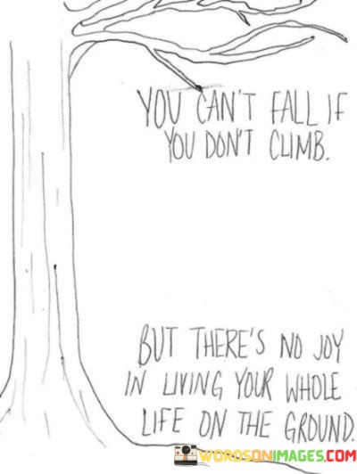 You-Cant-Fall-If-You-Dont-Climb-But-Quotes.jpeg