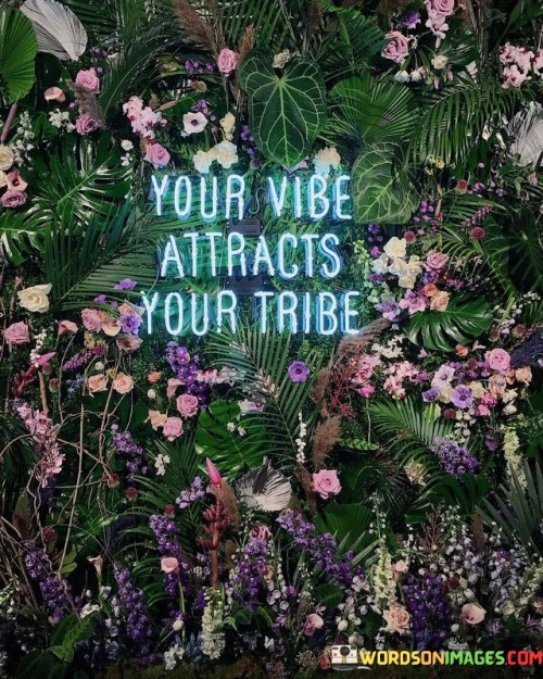 Your-Vibe-Attracts-Your-Tribe-Quotes.jpeg