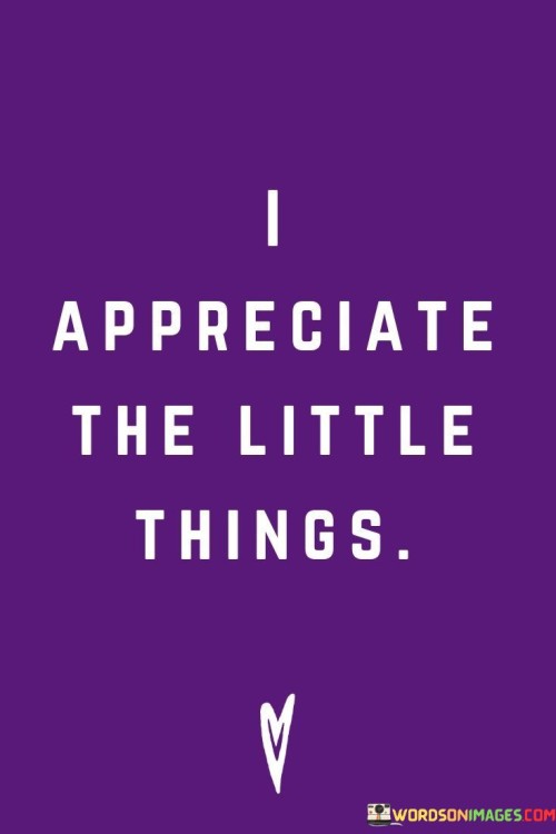 Appreciate-The-Little-Things-Quotes.jpeg