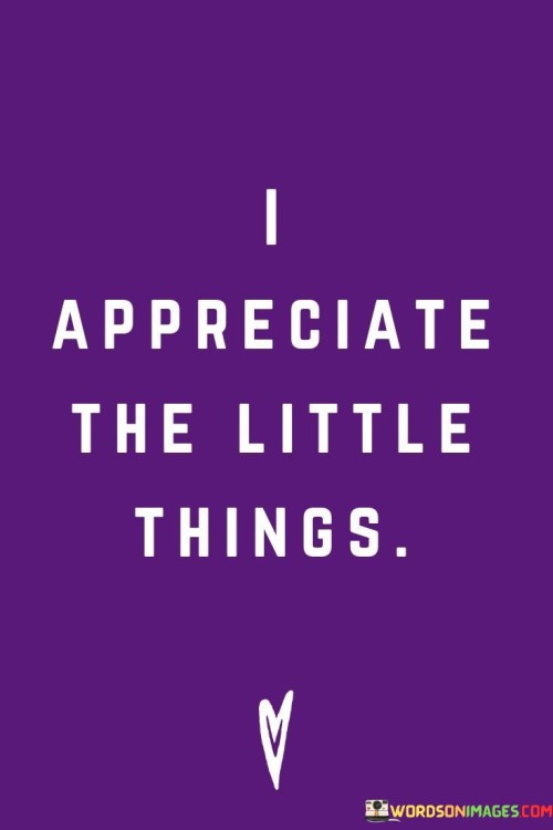 Appreciate The Little Things Quotes