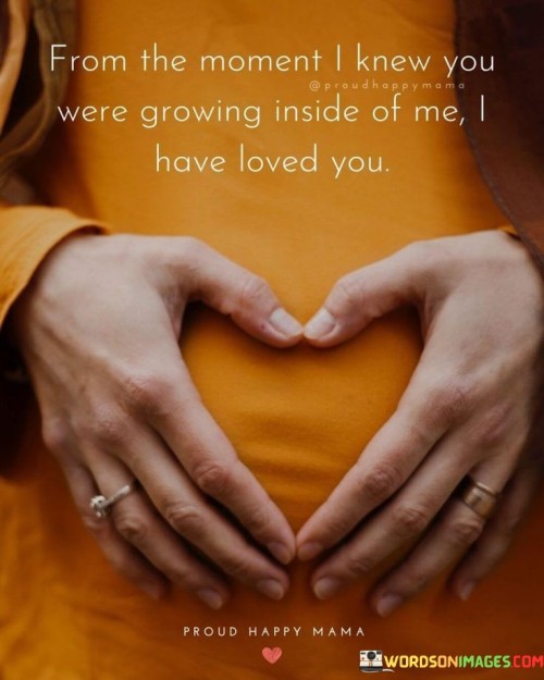 From The Moment I Knew You Were Growing Inside Of Me Quotes