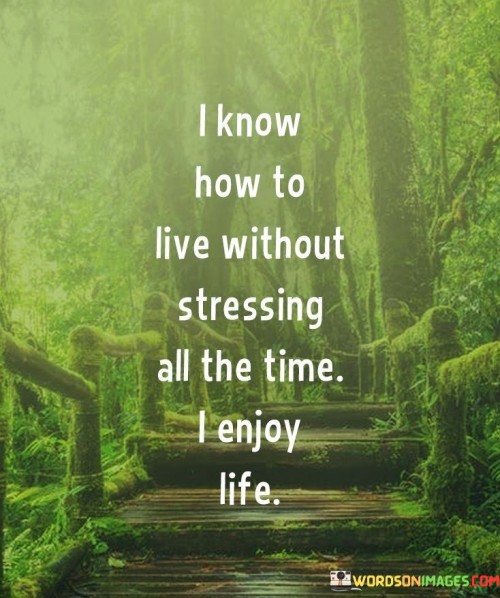 I-Know-How-To-Live-Without-Stressing-All-The-Time-Quotes.jpeg