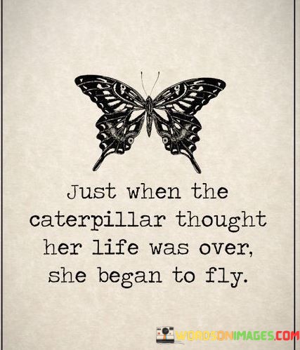 Just-When-The-Caterpillar-Thought-Her-Life-Was-Over-Quotes.jpeg
