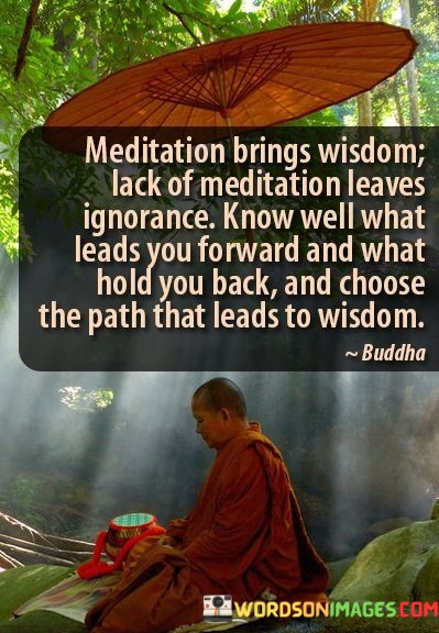 Meditation-Brings-Wisdom-Lack-Of-Meditation-Leaves-Ignorance-Know-Well-Quotes