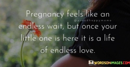 Pregnancy-Feels-Like-An-Endless-Wait-But-Once-Quotes