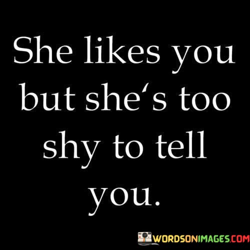 She-Likes-You-But-Shes-Too-Shy-To-Tell-You-Quotes.jpeg