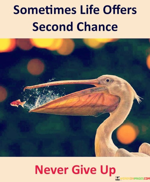 Sometimes-Life-Offers-Second-Chance-Never-Give-Up-Quotes.jpeg