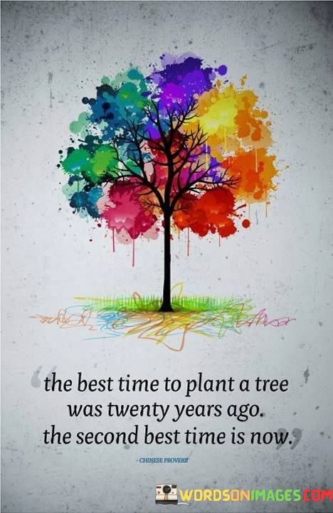 The-Best-Time-To-Plant-A-Tree-Was-Twenty-Years-Quotes.jpeg
