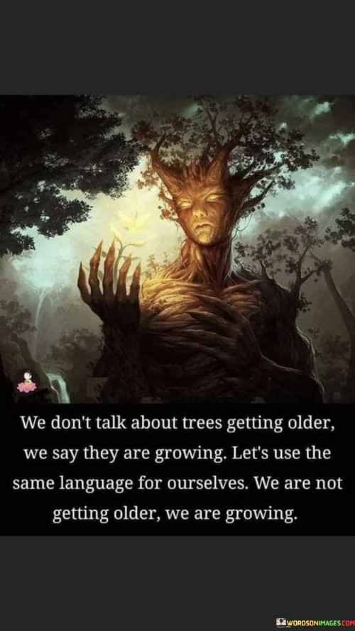 We-Dont-Talk-About-Trees-Getting-Older-We-Say-They-Are-Growing-Quotes.jpeg