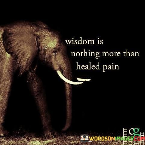 Wisdom-Is-Nothing-More-Than-Healed-Pain-Quotes.jpeg