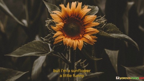 "But I'm a sunflower, a little funny" is a lighthearted and self-accepting statement that celebrates individuality and uniqueness. It implies a sense of embracing one's quirks and distinct qualities with a touch of humor.

The phrase "But I'm a sunflower" suggests that the speaker identifies with the sunflower—a flower that symbolizes happiness, positivity, and resilience. This comparison may reflect the speaker's cheerful disposition and their ability to radiate positivity even in their own distinctive way.

"A little funny" acknowledges that the speaker may possess traits or characteristics that others might find amusing or unconventional. This part of the quote highlights the beauty of embracing one's quirks and finding joy in being different.

Overall, this quote captures the spirit of self-assuredness and the willingness to celebrate one's own uniqueness. It encourages us to recognize and appreciate the qualities that make us stand out, while also inviting others to join in the positivity and lightheartedness that comes with being a "little funny" sunflower.
