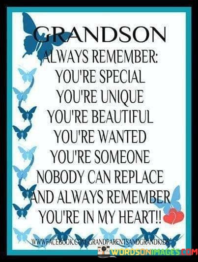 Grandson-Always-Remember-Youre-Special-Youre-Quotes.jpeg