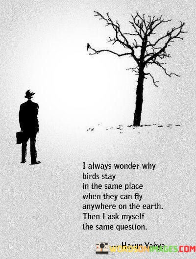 I-Always-Wonder-Why-Birds-Stay-In-The-Same-Place-Quotes.jpeg