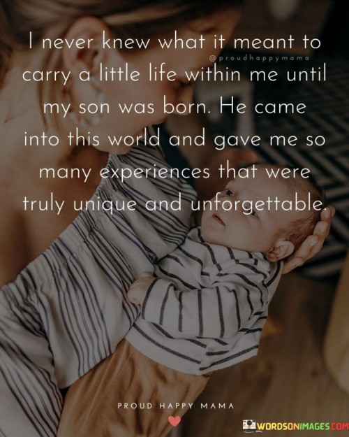 I Never Knew What It Meant To Carry A Little Life Quotes