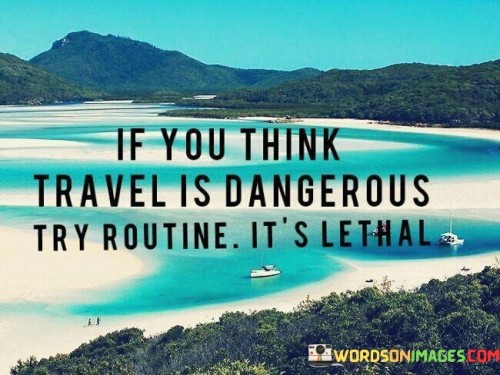 If-You-Think-Travel-Is-Dangerous-Try-Routine-Its-Lethal-Quotes.jpeg